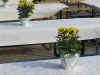 Jubi40Grill002.JPG (109686 Byte)