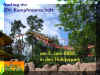 HoliPa01.jpg (44723 Byte)