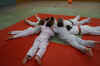 Training1401_03.jpg (66405 Byte)